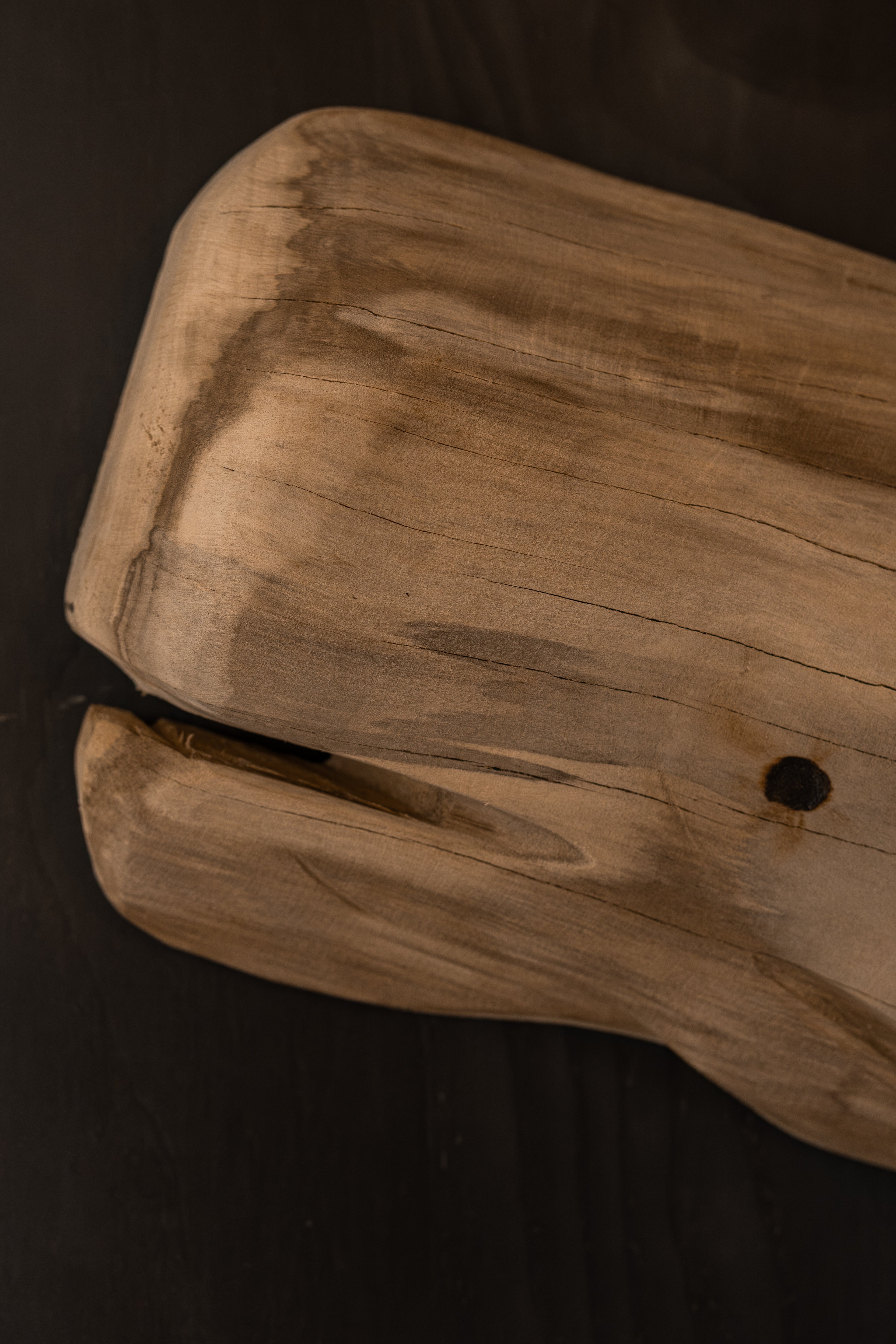 Ballena Calma Natural