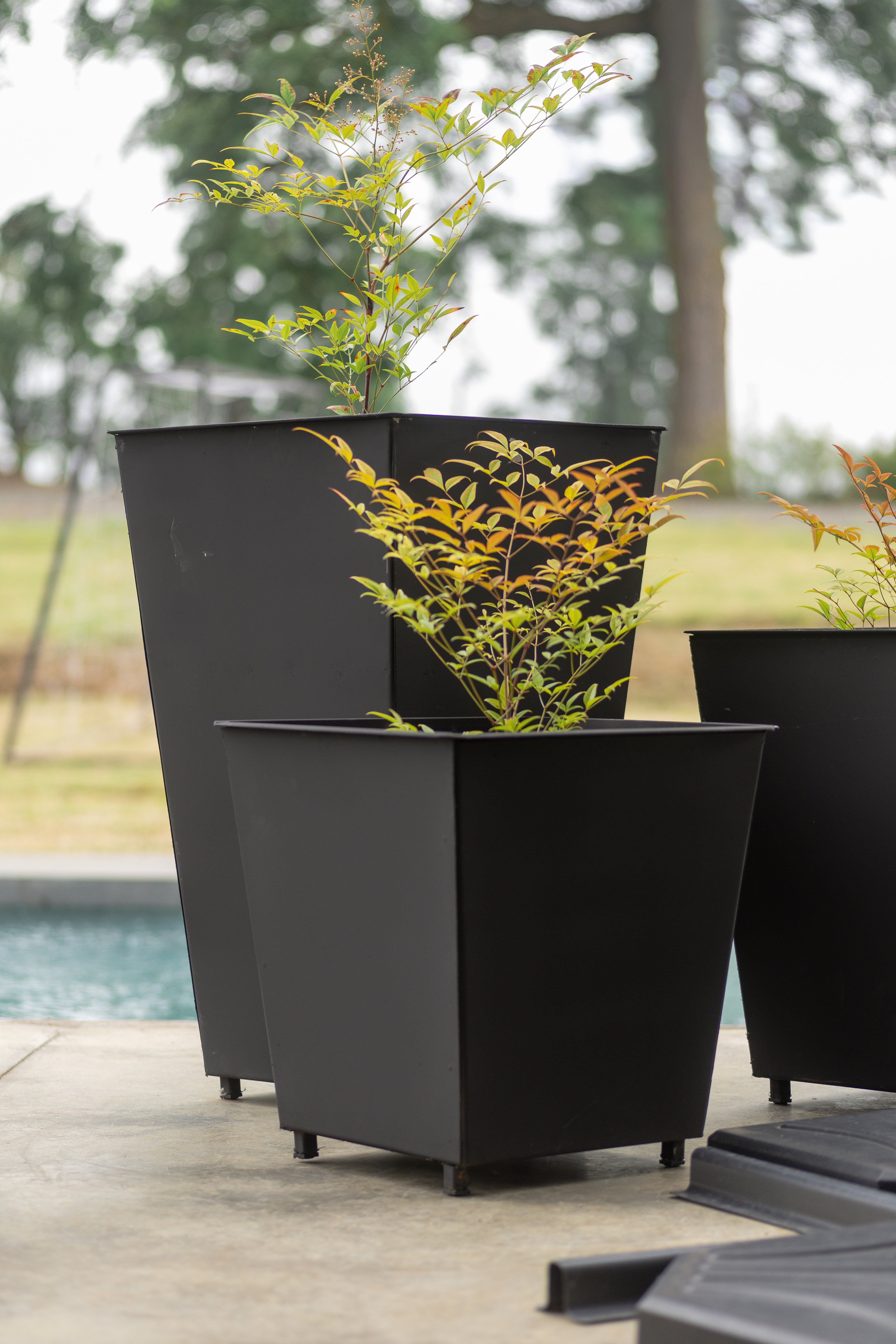 Macetas de Latón el Paisaje