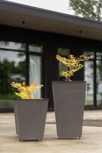 Macetas de Latón el Paisaje