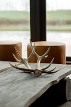 Astas de Ciervo El Desmogue